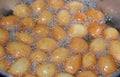 Zalabia a type of fried dough similar to that of a doughnut frying in boiling hot oil in a deep fryer at home
