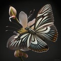 A close-up of a zebra butterfly hovering around a blossom Royalty Free Stock Photo