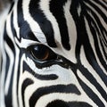 Close-up of a zebra eye. Generative AI