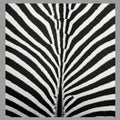 Close-up of zebra stripes with a black and white pattern. The stripes are densely pack Royalty Free Stock Photo