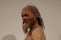 Close-up of Ãâtzi, the Similaun man or Similaun mummy, who lived about 5000 years ago. Royalty Free Stock Photo