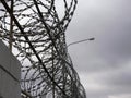 Close-up ÃÂ²arbed wire on the background gray sky. Prison concept, space for text