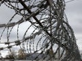 Close-up ÃÂ²arbed wire on the background gray sky. Prison concept, space for text