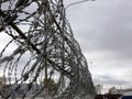 Close-up ÃÂ²arbed wire on the background the gray sky. Prison concept, space for text