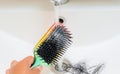 Close-up a hand washing hairbush with Pile of hair loss in bathroom after wash hair. Royalty Free Stock Photo