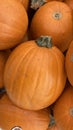 Close upf of a pile of orange pumkin