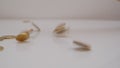 Close-ups of euro coins scatter from the sky on a white background. A metaphor for godliness