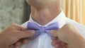 Close-ups of a man s handles corrects a blue bow tie. man dresses bow tie on white shirt. Man getting dressed for party Royalty Free Stock Photo