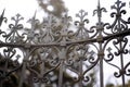 Forged iron fence Royalty Free Stock Photo