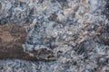 Close view of ash from wood burning as a abstract background tex Royalty Free Stock Photo