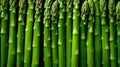 close view asparagus green