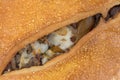 Close view of a baked steak stromboli