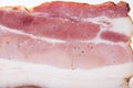 Close view of beautiful piece of bacon