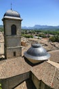 The bell tower of the Saint-Sauveur church and the roofs of the town of Crest