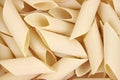 Close view of bombardoni rigati pasta.