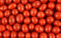 Close View Boston Baked Beans