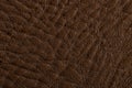 Surface of brown leather with distinct texture seen close up during daylight hours in a well-lit setting Royalty Free Stock Photo