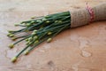 Close view of bundle of chives bound in burlap on a weathered wood background, copy space
