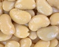 Close view butter beans Royalty Free Stock Photo