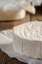 Close view on Camembert cream cheese on wooden table