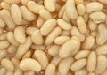 Close view cannellini beans Royalty Free Stock Photo