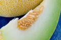 Close view of cantalupe melon. Royalty Free Stock Photo