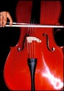 Close view of the cello with the bow on the strings Royalty Free Stock Photo