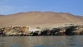 Close view of a Chandelier Nazca Lines known as Paracas Candelabra, Candelabra of the Andes.