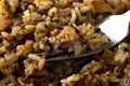 Close view of chicken with pecans and wild rice with a fork in the food Royalty Free Stock Photo