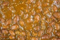 Close view of chili with beef sauce Royalty Free Stock Photo