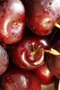 CLOSE VIEW OF CHILLED RED CHERRIES WITH FOCUS ON STALK Royalty Free Stock Photo