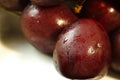 FRESH RED CHERRIES IN WHITE BOWL WITH CONDENSATION ON SKIN Royalty Free Stock Photo
