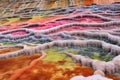 close view of colorful bacteria mats near a geothermal hot spring