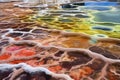 close view of colorful bacteria mats near a geothermal hot spring