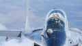 Close View of Combat Aircraft In Flight. Mikoyan Gurevich MiG-29 Fulcrum