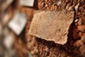 Natural cork wall with a textured surface and blank space for notes and ideas in a creative workspace environment Royalty Free Stock Photo