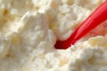 Close view cottage cheese and pineapple chunks with a red plastic spoon in the food