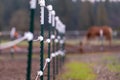 Electrical fence surrounding pasture perimiter Royalty Free Stock Photo