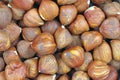 Close view of filbert nuts Royalty Free Stock Photo