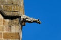 Gargoyle of the Notre-Dame-de-l\'Annonciation cathedral in oulins Royalty Free Stock Photo