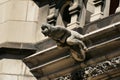 Gargoyle of the Notre-Dame-de-l\'Annonciation cathedral in oulins Royalty Free Stock Photo