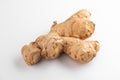 Close view on a ginger root on white background Royalty Free Stock Photo