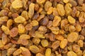 Close view of golden raisins