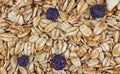 Close View Granola Blueberry Banana Mix