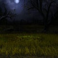 Close view of a grave under moonlight at night in the countryside