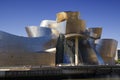 Close view of the Guggenheim Bilbao museum Royalty Free Stock Photo