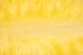 Close view of halved pineapple Royalty Free Stock Photo