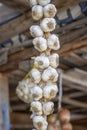 Handmade hanging bunch bundle of the garlic