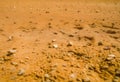 A close view of the hard dry dirt surface
