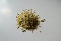 Close view of heap of yellow shelled hemp seeds Royalty Free Stock Photo